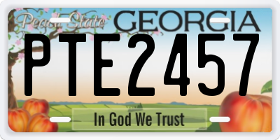 GA license plate PTE2457