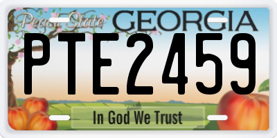 GA license plate PTE2459