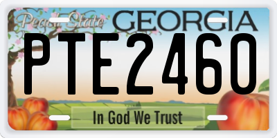 GA license plate PTE2460