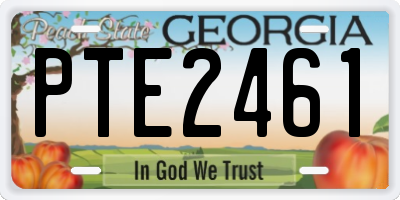 GA license plate PTE2461