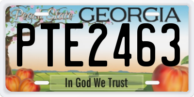 GA license plate PTE2463