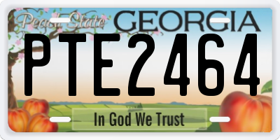 GA license plate PTE2464
