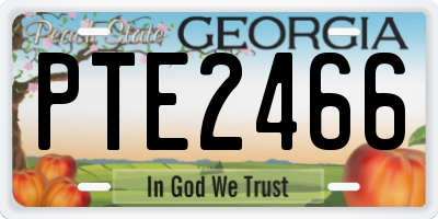GA license plate PTE2466