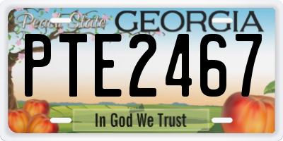 GA license plate PTE2467