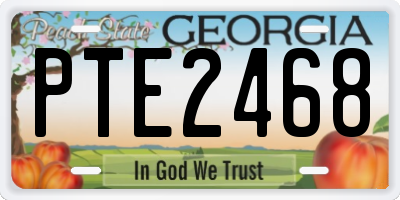 GA license plate PTE2468