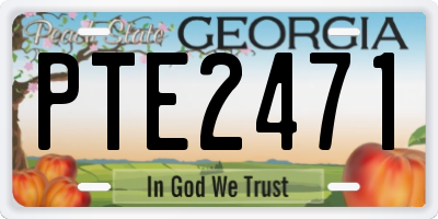 GA license plate PTE2471