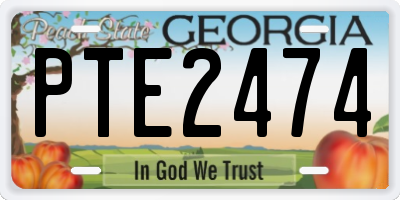 GA license plate PTE2474