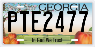GA license plate PTE2477
