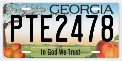 GA license plate PTE2478
