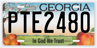 GA license plate PTE2480