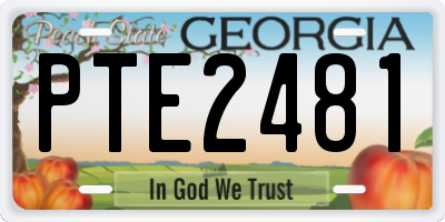 GA license plate PTE2481