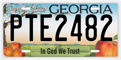 GA license plate PTE2482