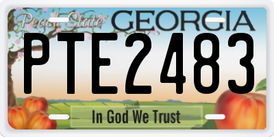 GA license plate PTE2483