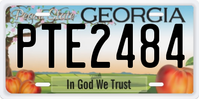 GA license plate PTE2484