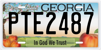 GA license plate PTE2487