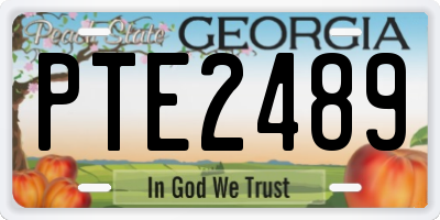 GA license plate PTE2489