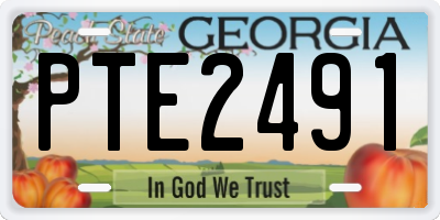 GA license plate PTE2491