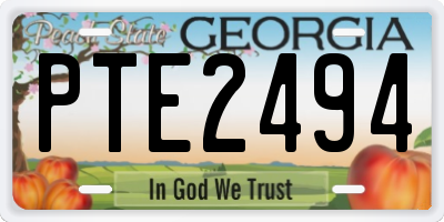 GA license plate PTE2494