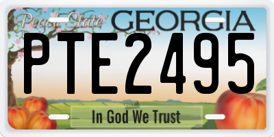 GA license plate PTE2495