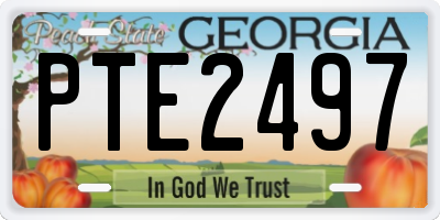 GA license plate PTE2497