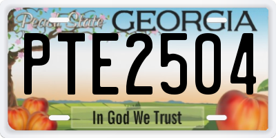 GA license plate PTE2504