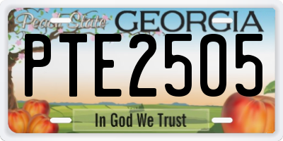 GA license plate PTE2505