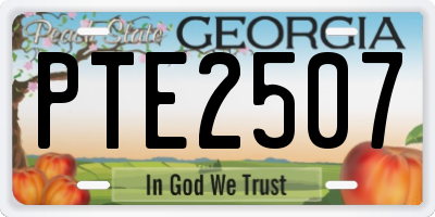 GA license plate PTE2507