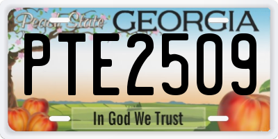GA license plate PTE2509