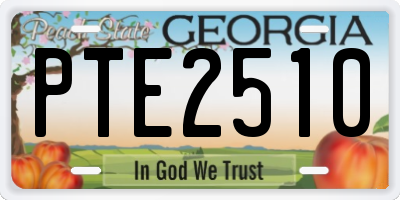 GA license plate PTE2510