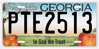 GA license plate PTE2513