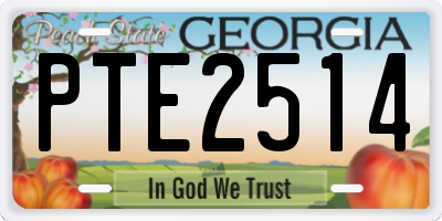 GA license plate PTE2514