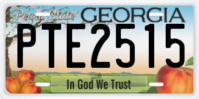 GA license plate PTE2515