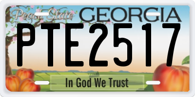 GA license plate PTE2517