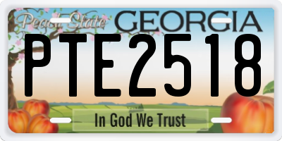GA license plate PTE2518