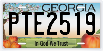 GA license plate PTE2519