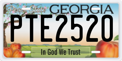 GA license plate PTE2520