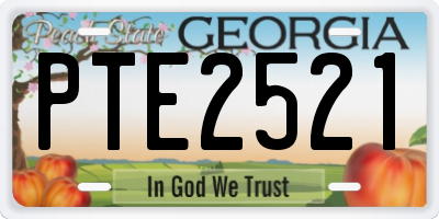 GA license plate PTE2521