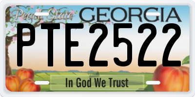 GA license plate PTE2522