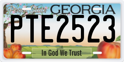 GA license plate PTE2523