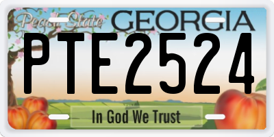 GA license plate PTE2524