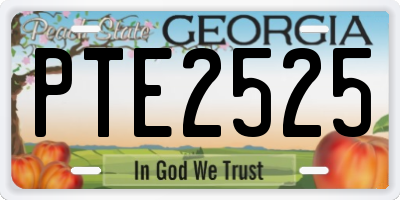 GA license plate PTE2525