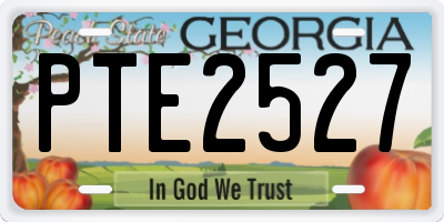 GA license plate PTE2527
