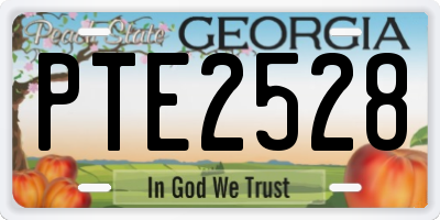 GA license plate PTE2528