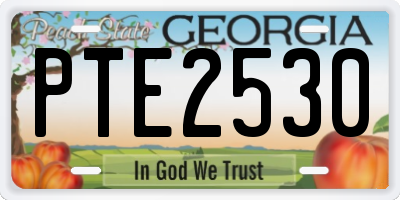 GA license plate PTE2530