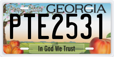GA license plate PTE2531