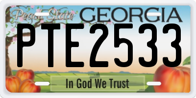 GA license plate PTE2533