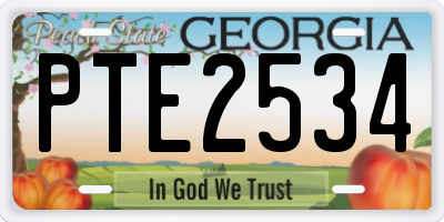 GA license plate PTE2534