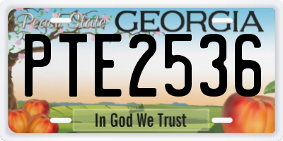 GA license plate PTE2536