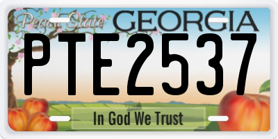 GA license plate PTE2537