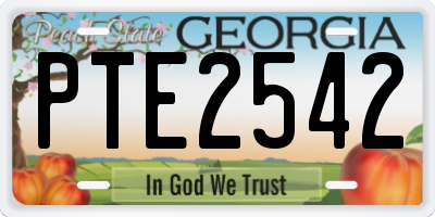 GA license plate PTE2542
